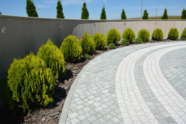 Reasons to Select Us for Your Driveway Paving Requirements in Bealeton, VA